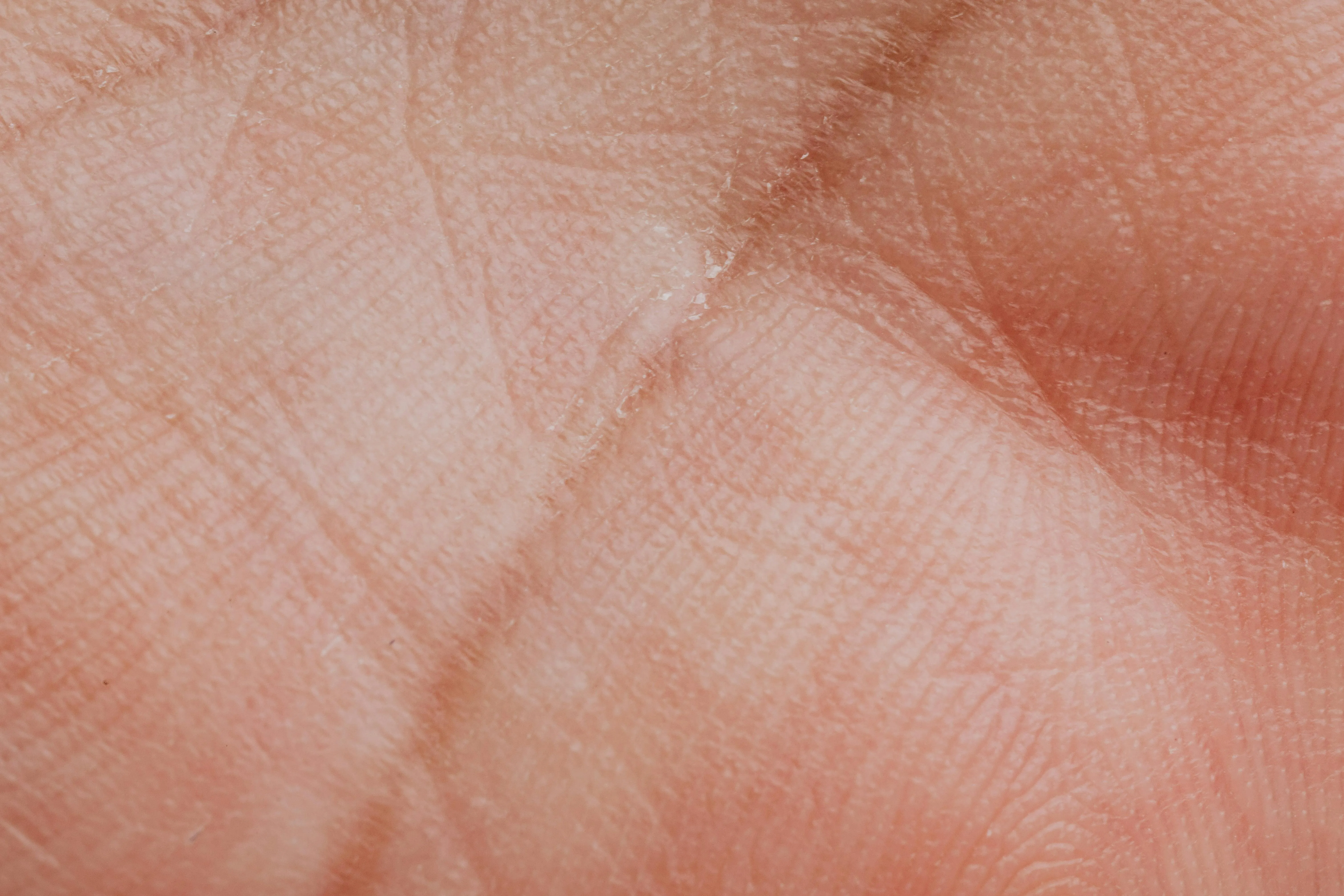 Spezielle Erkrankungen behandeln
